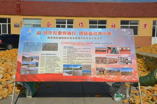 虎山鎮(zhèn)召開 作風(fēng)大改進(jìn) 問題大整改 工作大提升 行動(dòng)推進(jìn)會(huì)