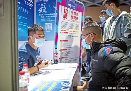 應屆生求職困境中的職業(yè)中介 機遇、風險與策略